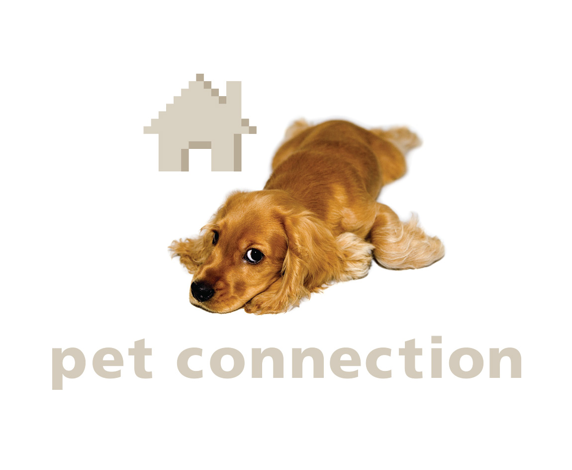 Logo for Pet Connection